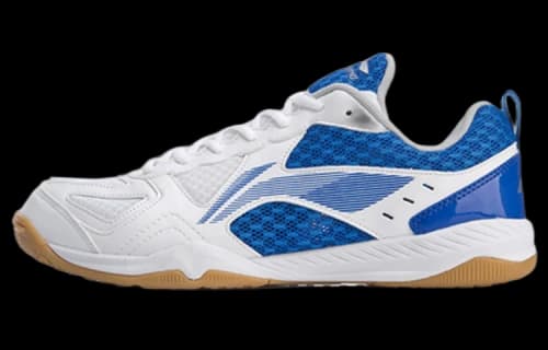 Li-Ning Ma Long Signature Table Tennis Shoes 'Blue White'