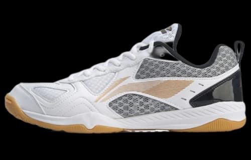 Li-Ning Ma Long Signature Table Tennis Shoes 'White Black'