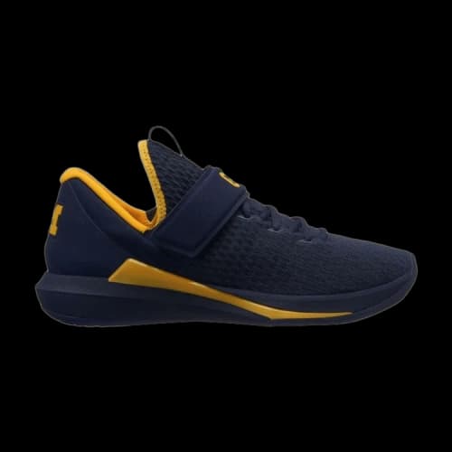 Air Jordan Trainer 3 'Michigan'