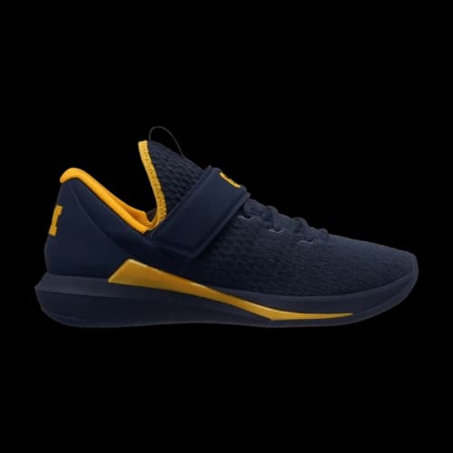 Air Jordan Trainer 3 'Michigan Wolverines'
