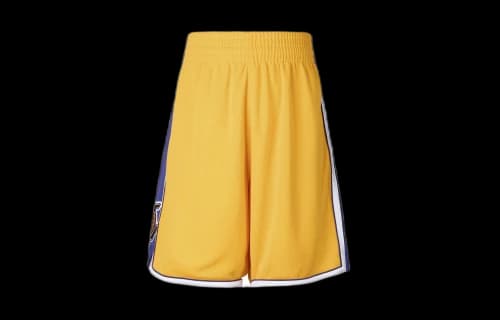 Mitchell & Ness NBA Authentic Shorts Los Angeles Lakers Home 2009-10 'Yellow Purple'