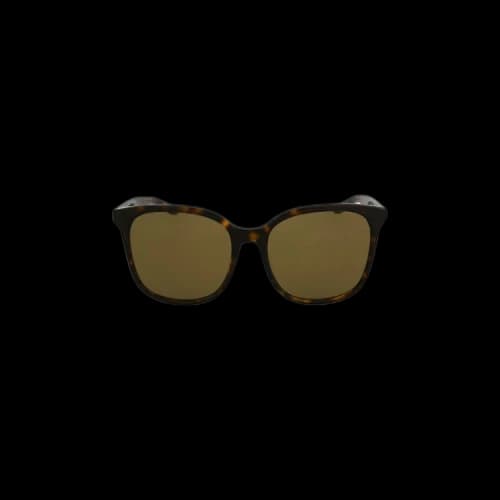 Balenciaga Oversized Square Acetate Sunglasses 'Brown'