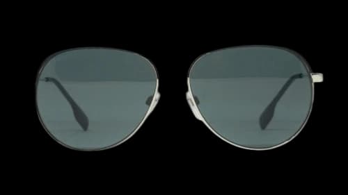 Burberry Women's Tara Sunglasses Silver