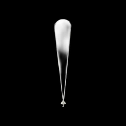 Ambush Mushroom Necklace Silver