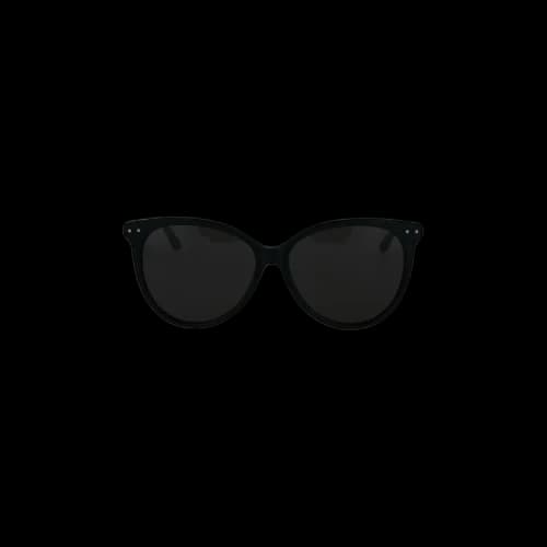 Bottega Veneta Cat Eye Acetate Sunglasses 'Black'
