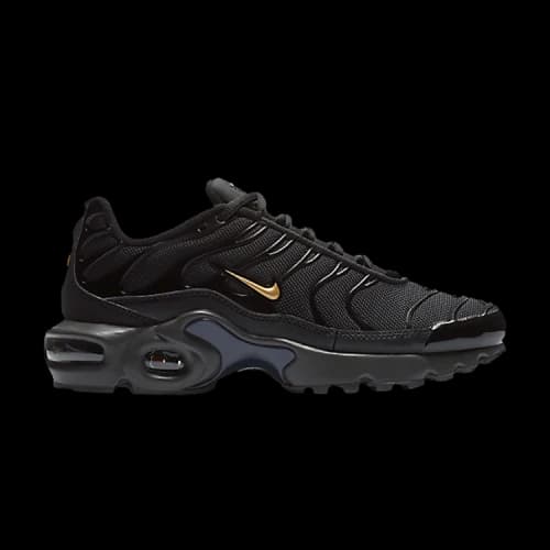 Nike Air Max Plus TN SE BG 'Black Metallic Gold'