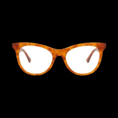 Bottega Veneta Round-Frame Acetate Optical Frames 'Havana Transparent'