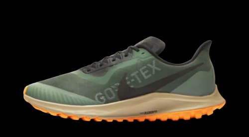 Nike Zoom Pegasus 36 Trail Gore-tex Galactic Jade