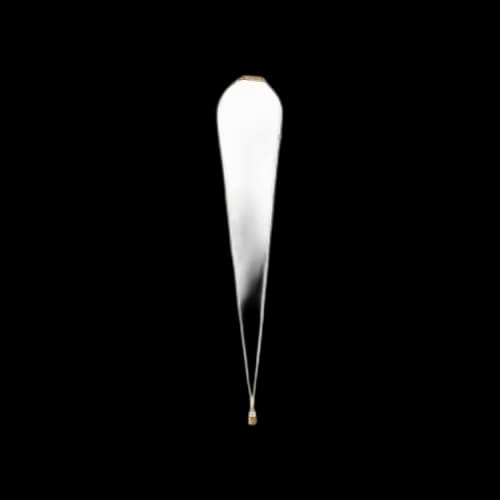 Ambush A Petit Series Pad Necklace 'Gold'