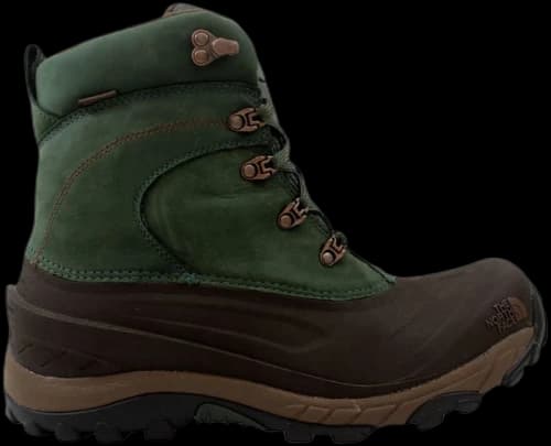 The North Face Chilkat II 2 Nubuck Fig Green