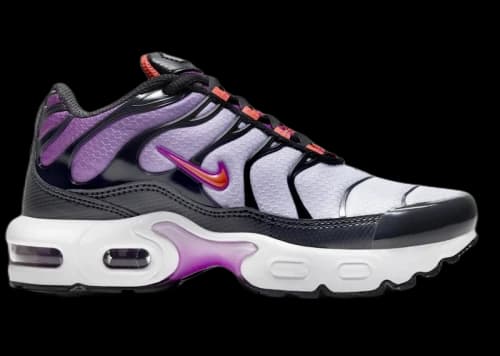 Nike Air Max Plus Dark Smoke Grey Vivid Purple Violet Frost Camellia (PS)