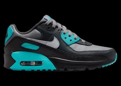 Nike Air Max 90 LTR Cool Grey Dusty Cactus Black Wolf Grey (GS)