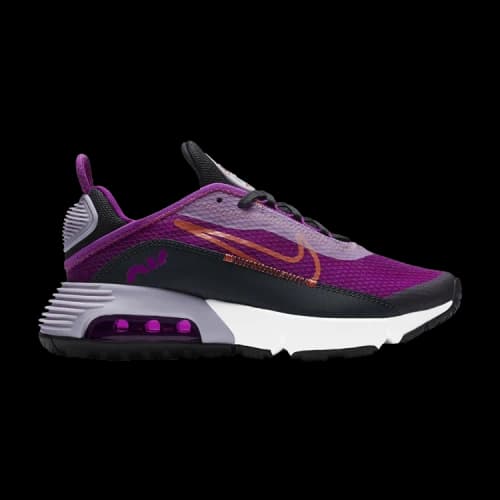 Nike Air Max 2090 GS 'Violet Frost'