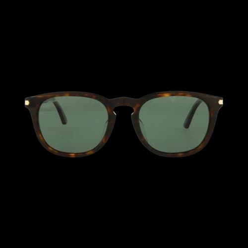 Cartier Square Sunglasses Havana/Havana/Green (CT0011SA-30002167-002)
