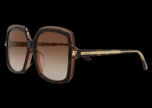 Cartier Square Sunglasses Havana/Havana/Brown (CT0196SA-30007983-002)