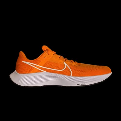Nike Air Zoom Pegasus 38 TB 'Bright Ceramic'