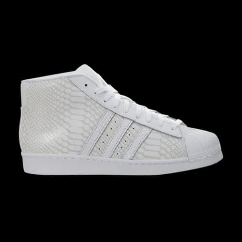 adidas Pro Model