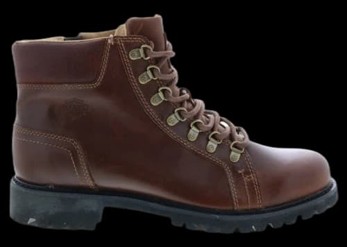 Harley-Davidson Weldon 5" Scratch Boots Brown