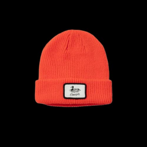 SB x Concepts Mallard Beanie (2020)