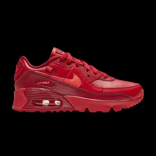 Nike Air Max 90 PS 'City Special - Chicago'