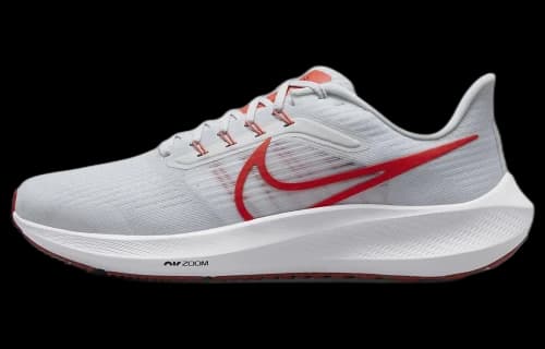 Nike Air Zoom Pegasus 39 'Platinum Tint Light Crimson'