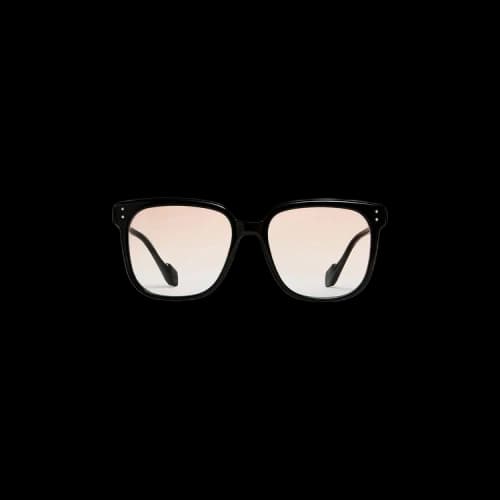 Gentle Monster Dion 01 Sunglasses 'Black'