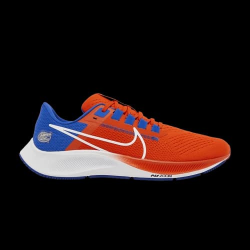 Nike Air Zoom Pegasus 38 'Florida'
