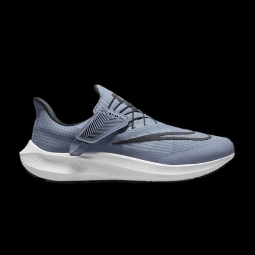 Nike Air Zoom Pegasus 39 'Ashen Slate'