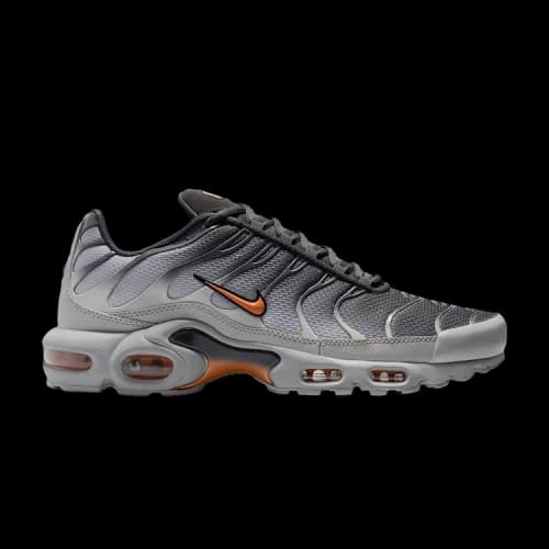 Nike Air Max Plus Light Smoke Grey Hot Curry