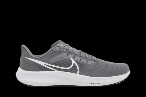 Nike Air Zoom Pegasus 39 TB 'Gunsmoke'
