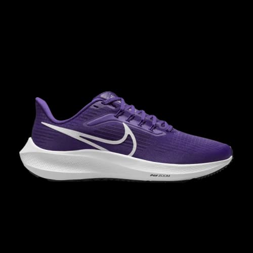 Nike Air Zoom Pegasus 39 TB 'Court Purple' (Women's)