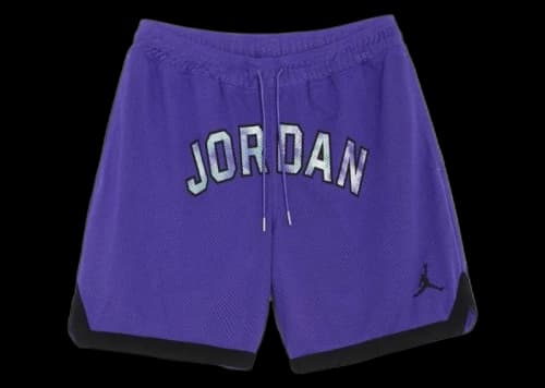 Jordan Sport DNA Mesh Shorts Purple