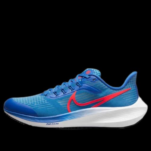 (GS) Nike Air Zoom Pegasus 39 'Blue Red'