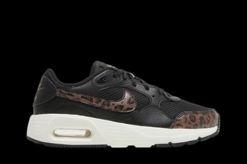Nike Air Max SC 'Black Leopard' (Women's)