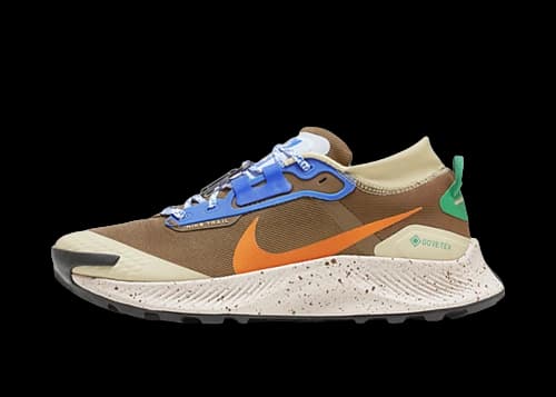 Nike Pegasus Trail 3 Gore-Tex ES I Love Trail Brown