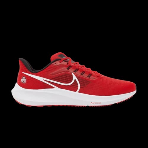 Nike Air Zoom Pegasus 39 'Ohio State'