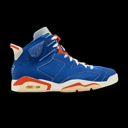 Air Jordan 6 Retro 'Florida Gators' PE