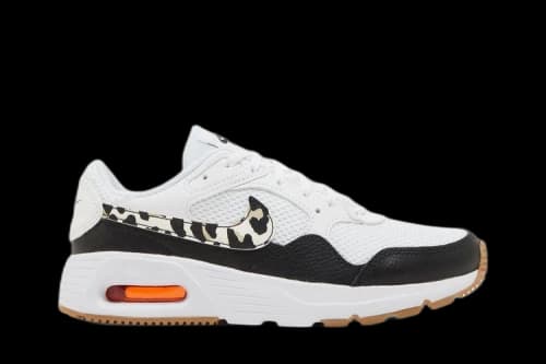 Nike Air Max SC 'Leopard' (Women's)