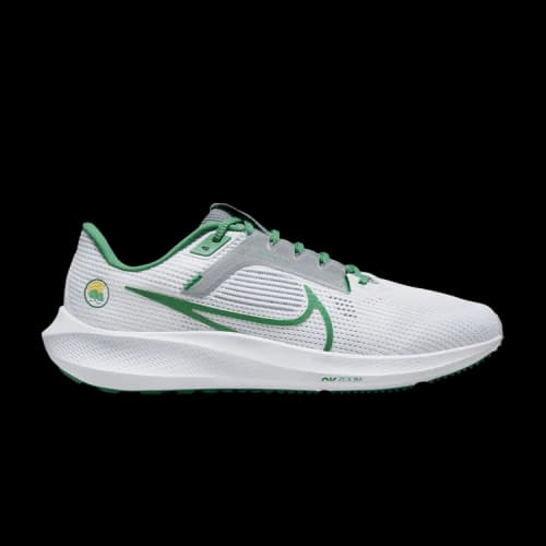 Nike Air Zoom Pegasus 40 'Norfolk State'