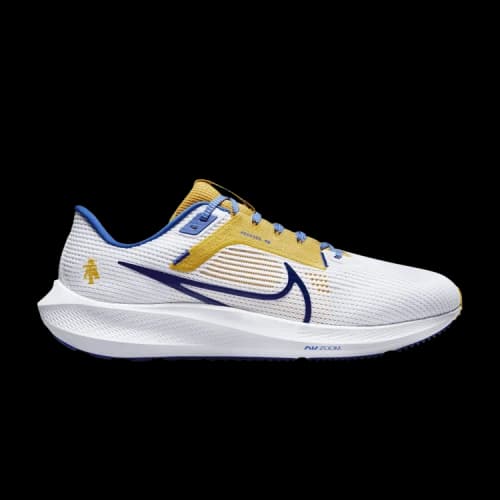 Nike Air Zoom Pegasus 40 'North Carolina A&T'