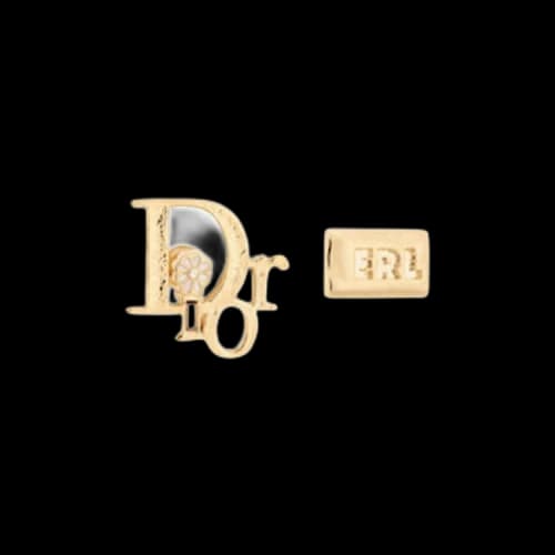 Dior x ERL Earrings 'Gold'