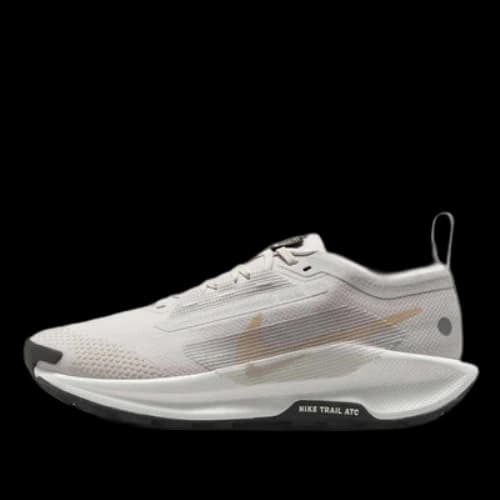 Nike Pegasus Trail 5 Gore-Tex 'Vast Grey' (Women's)