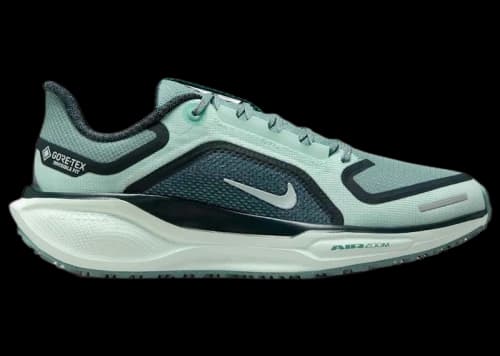 Nike Pegasus 41 Gore-Tex Cannon Barely Green (Women's)