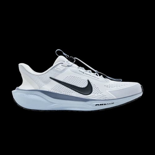 Nike Air Zoom Pegasus 41 EasyOn Pure Platinum Ashen Slate Light Armory Blue Anthracite