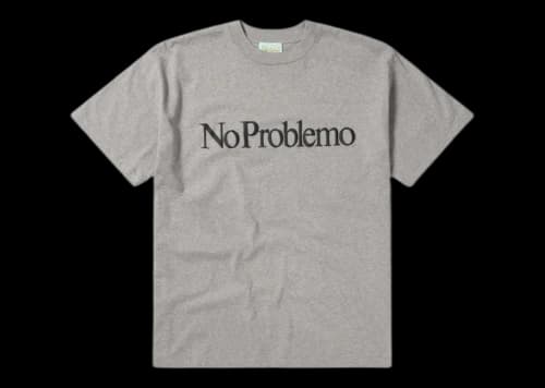 Aries No Problemo SS Tee Grey Marl