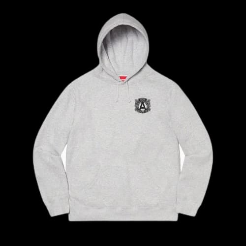Supreme Anti Hooded Sweatshirt 'Ash Grey'