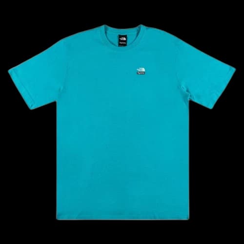 Supreme x The North Face Mountains Tee 'Teal'