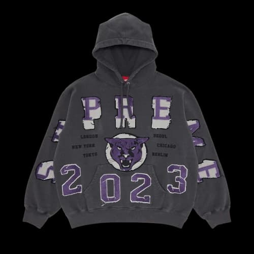 Supreme Washed Panther Hooded Sweatshirt 'Black'