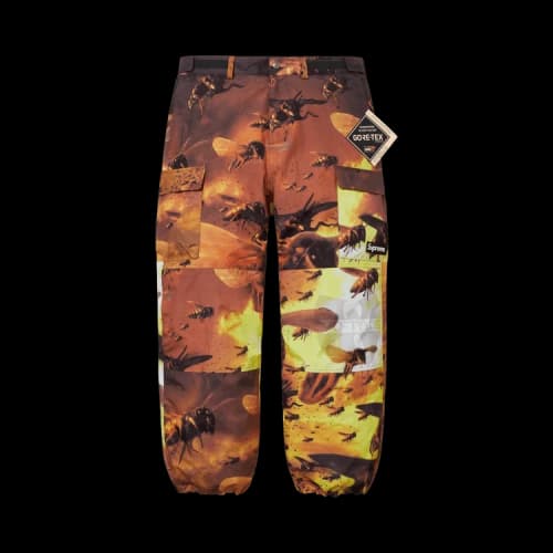 Supreme GORE-TEX Cargo Pant 'Multicolor'