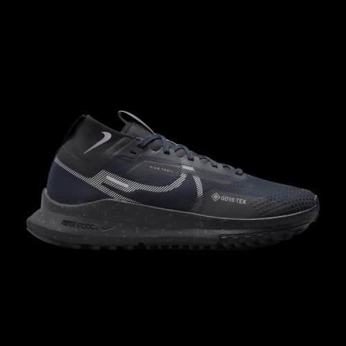 Nike Pegasus Trail 4 Gore-Tex Dark Obsidian Metallic Silver (Women's)
